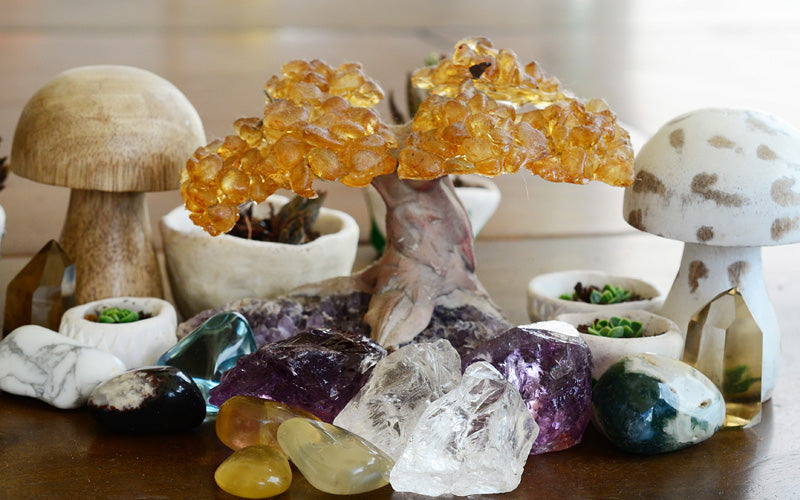 All You Need to Know About Citrine Money Tree