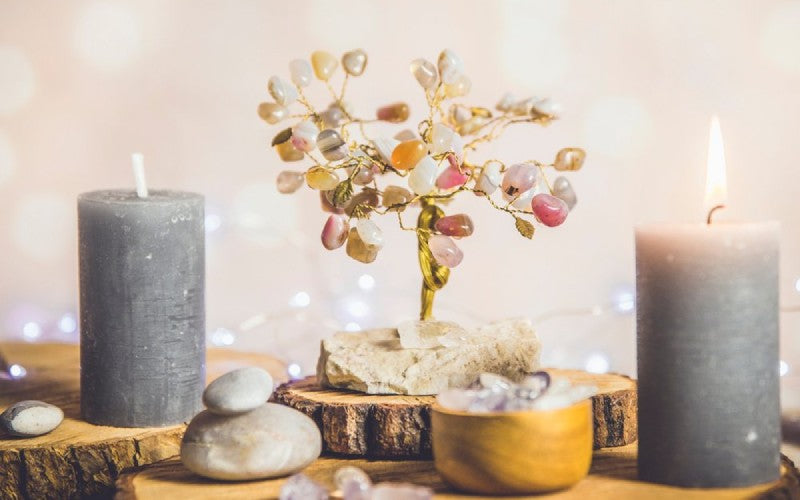 The Benefits of Feng Shui Gem Trees and Where to Place Them