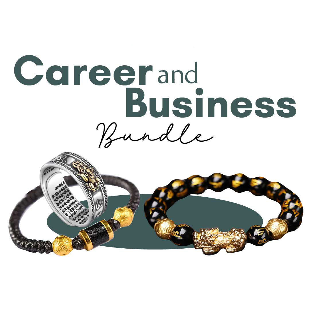 Career and Business Success Bundle - Bundle - Inner Wisdom Store